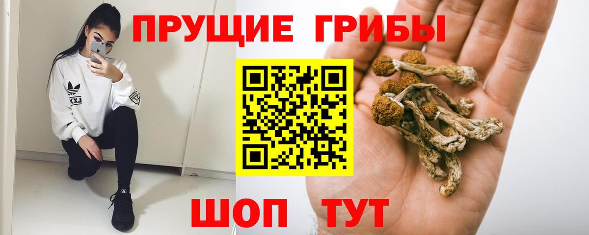 Псилоцибиновые грибы ЛСД  Галлюциногенные грибы Psilocybe  Вход с VPN  Сургут 